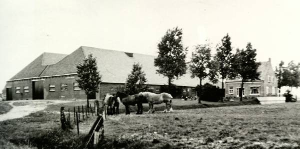 De Ackemaheerd de Heveskesklooster. Deze boerderij is in 1982 afgebroken om plaats te maken voor de industrie. Tot omstreeks 1980 hebben Hommo Janco Doornbos en vrouw het in pacht gehad, tezamen met hun zoon Jan Doornbos. Foto: eigen verzameling