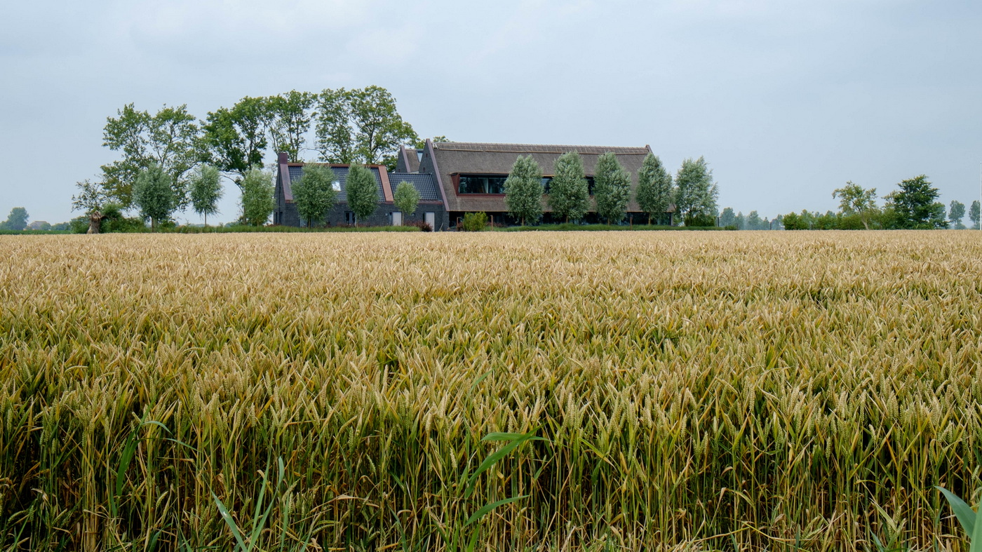 De kantoorboerderij Koepon (2012) op de borgstee van de Aldringaborg te Feerwerd met een oppervlakte van 1392 verkantie meter.
