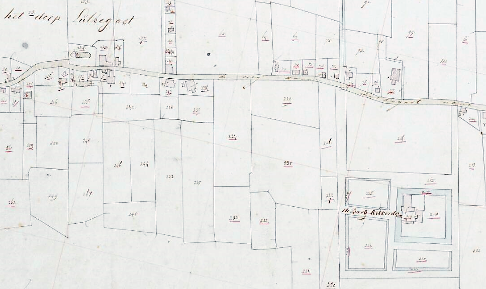 Kadasterkaart waarop Rikkerda uit 1832 (Feringa) met hoven en tuinen. De borg is dan een paar jaar eerder afgebroken. (Kaart Feringa).