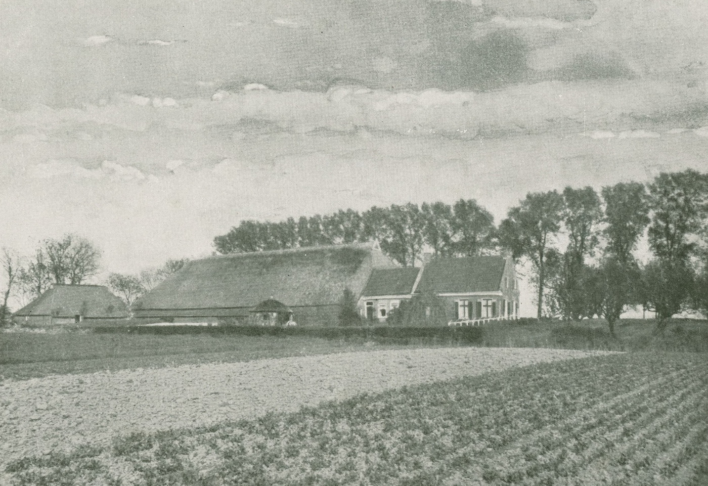 Boerderij 'De Hoge Wierde', bouwjaar 1924. 