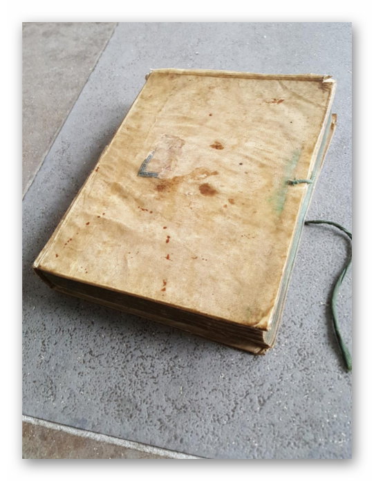 Het 'naoberbouk' of gildeboek van Beesterhoogen. Bron: Gudi Schuur.