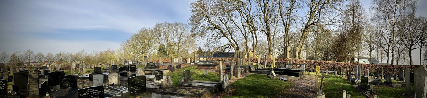 Panoramafoto van het kerkhof. Als je goed kijkt zie je dat de haag naar rechts omhoog loopt naar de plek waar de kerk heeft gestaan. Foto: (c) Jur Kuipers, april 2023.