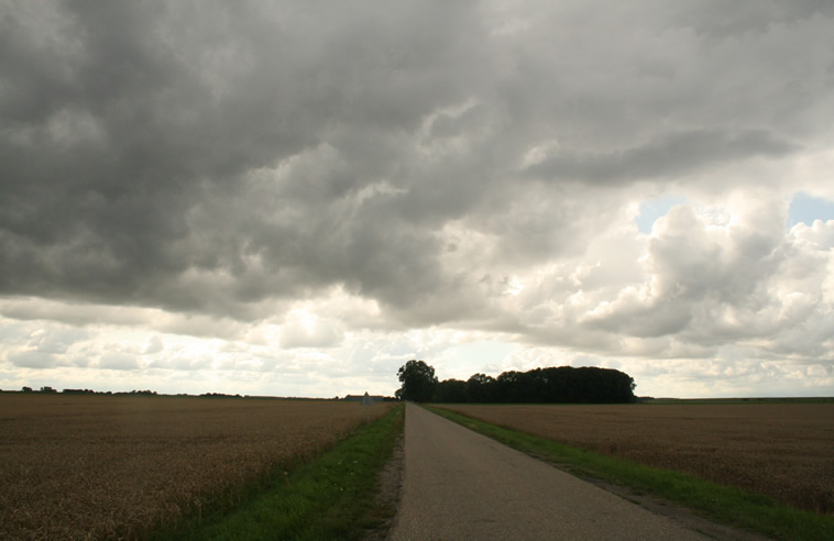 Donkere wolken boven de Reiderwolder polder 5. In de bosjes ligt bovenstaande boerderij 215. De weg vanaf Nieuwe Statenzijl 1, gaat de Reiderwolderpolder in. Foto: JacoNed, 2010.