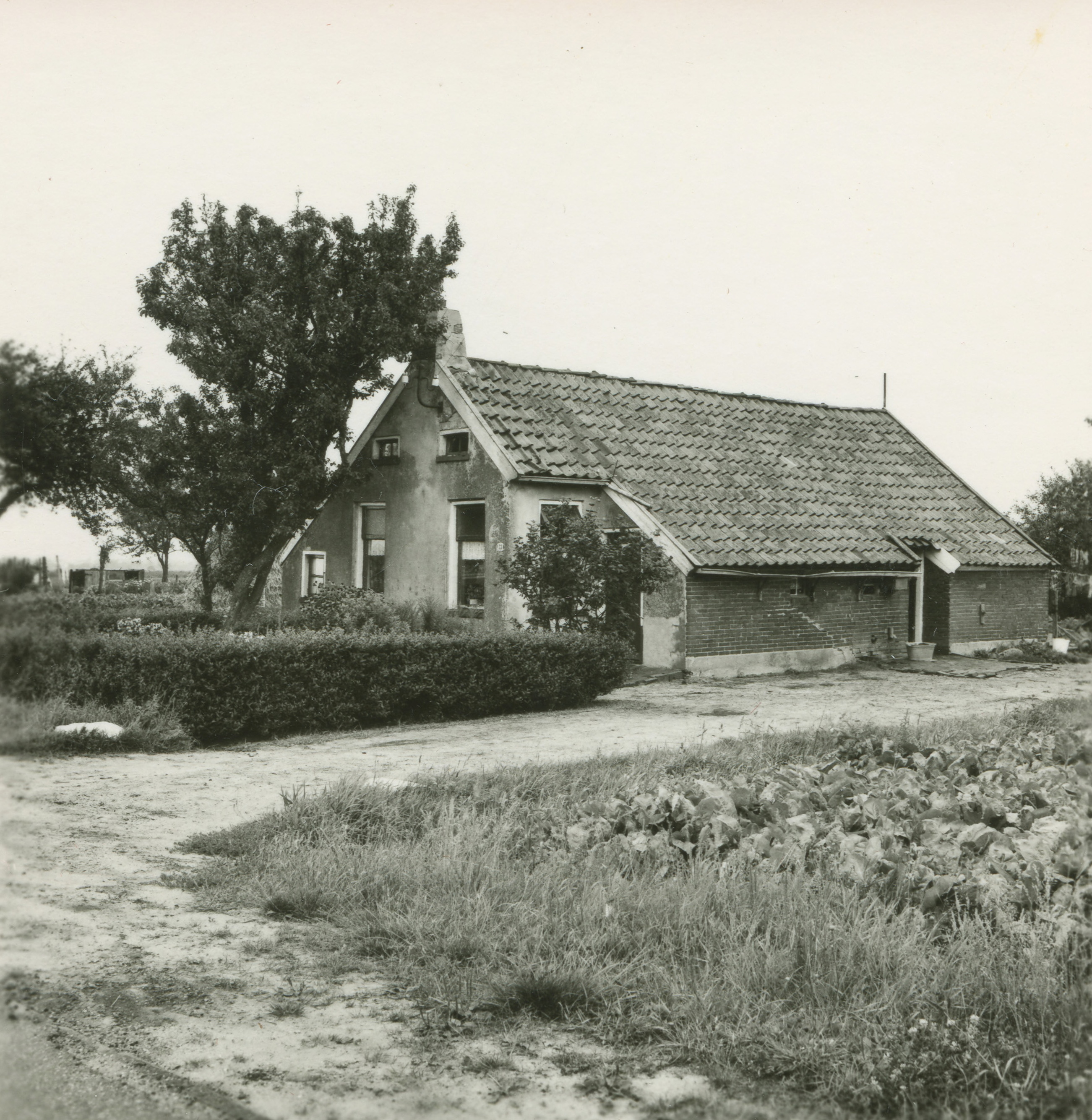 Een woning gebouwd volgens de voorschriften van de Woningwet van 1901. Bron: RHC GA, Groninger Archieven, Beeldbank Groningen.