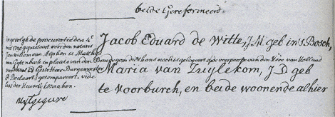 Inschrijving van ondertrouw van J.E. de Witte en Maria van Zuylekom ('s-Gravenhage 9 mei 1790) GA 's-Gravenhage RA 768 p. 197).