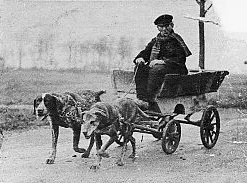 Een Joodse marskramer met een hondenkar.