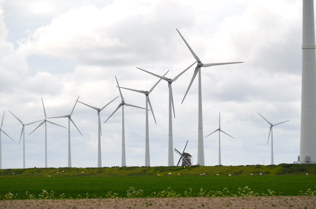 Een deel van het windmolenpark. De oude Hollandse Goliath poldermolen in het midden vormt een schril contrast.