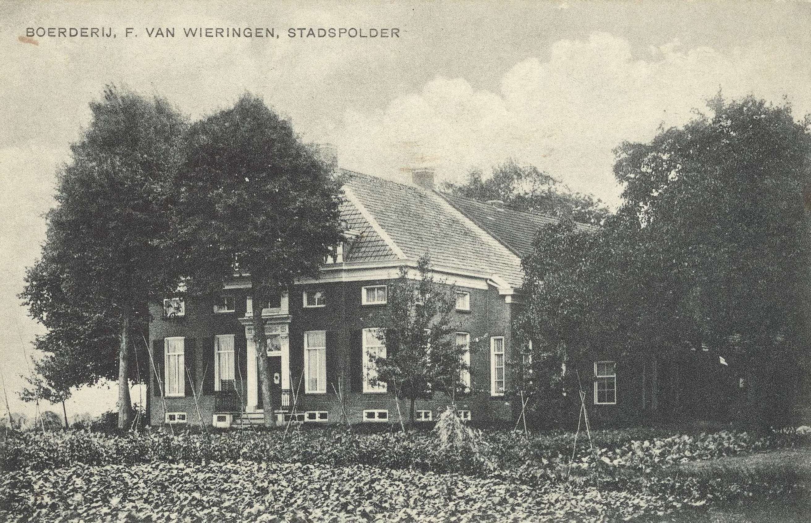 De boerderij van F. van Wieringen in de stadspolder.