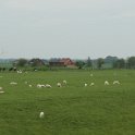 DSC00102  Uitzicht over het 'oude' land van de Hillinga's. Iets verder naar links heeft de boerderij gestaan. Hier is goed te zien dat het land is opgehoogd. De huizen staan in Duitsland en de grens wordt ongeveer gevormd door het hekwerk waar de koeien lopen. Het gebouwtje in het midden tussen de beide woningen is een Duits gemaaltje. (Foto: Harm Hillinga).